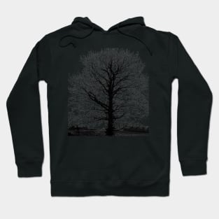 Black tree empty  in winter Hoodie